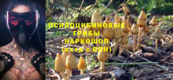 a pvp Арсеньев