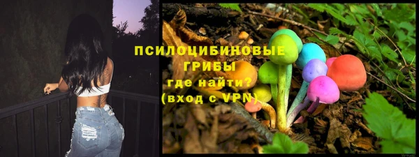 a pvp Арсеньев