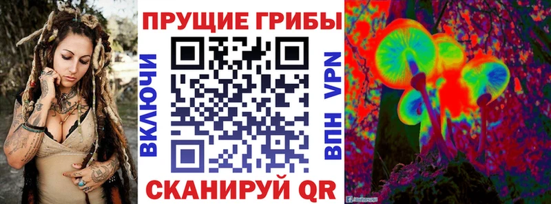 Галлюциногенные грибы прущие грибы  гидра   это какой сайт  Новоалтайск 